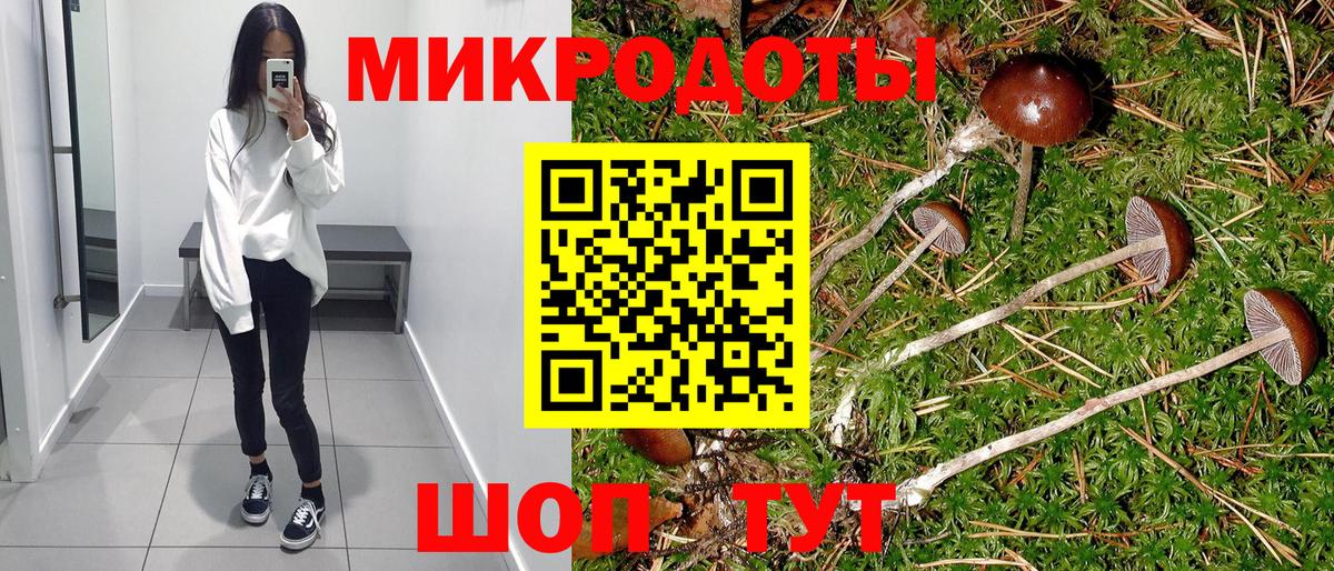 Псилоцибиновые грибы мицелий Усть-Джегута