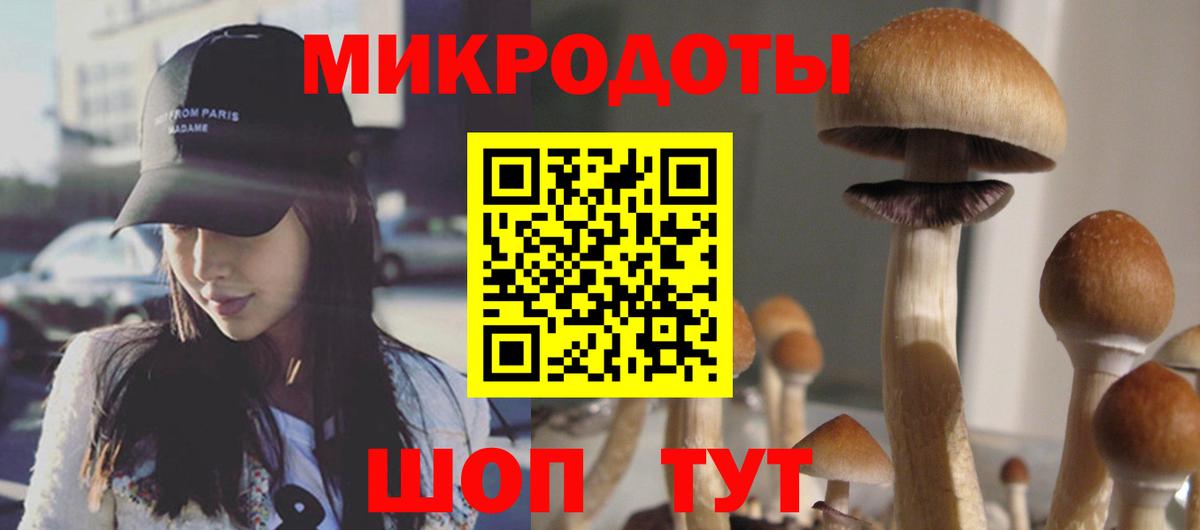 Псилоцибиновые грибы Psilocybe  Галлюциногенные грибы GOLDEN TEACHER  Вход с VPN  Усть-Джегута 